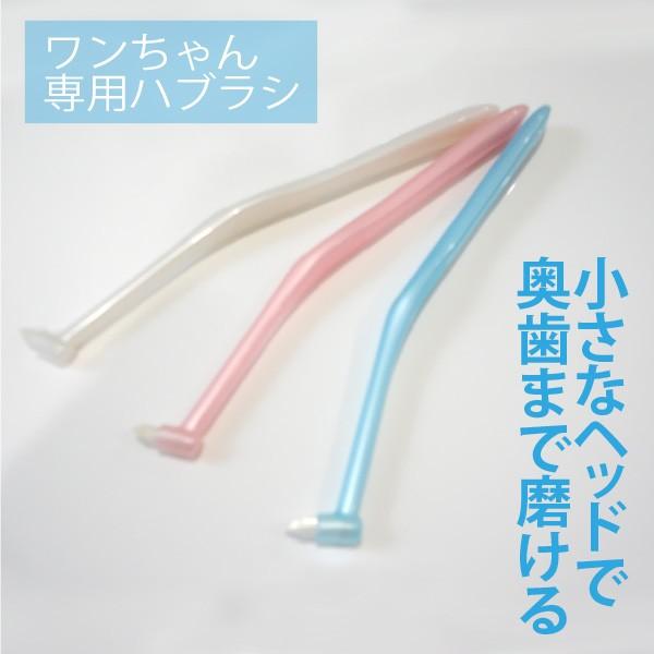 ワンちゃん用歯ブラシ（小さなヘッドで奥歯まで磨けます）1本