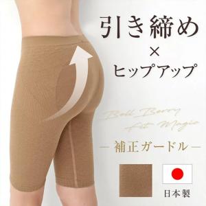 正規品】【送料無料】PYR FILING PLUS パイラ ファイリング プラス 45