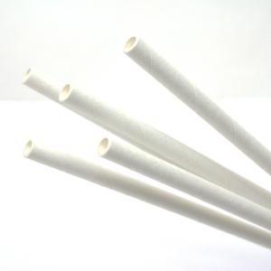 綿菓子用ペーパー棒25cm 100本入【わたが...の詳細画像1