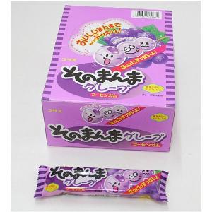 40円 そのまんまガム 20入 ソーダ【駄菓子】 : イベント用品問屋
