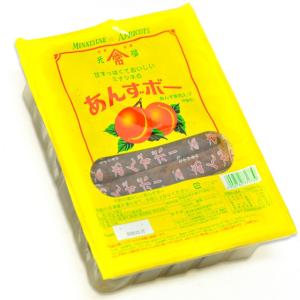 あんずボー 20本入【アンズボー　杏子ボー　杏ボー　駄菓子】｜event-goods