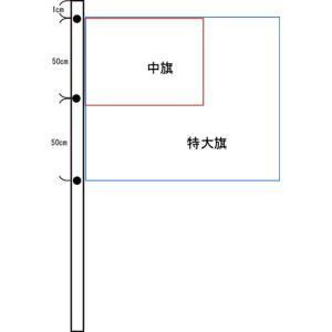 色旗 特大 150cm×100cm/ 動画有 ...の詳細画像3