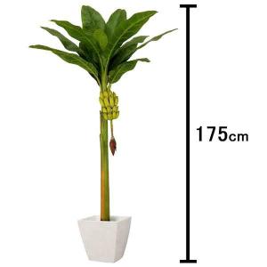 人工樹木　バナナの木　H175cm　35cm鉢付　[大型商品160cm以上] / 観葉植物 造花 南国 ディスプレイ｜event-ya