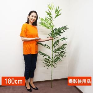 七夕本格笹・リアル青竹(180cm) 組立式２分割