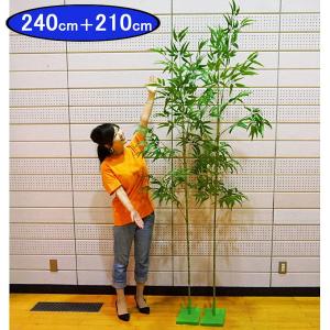 七夕笹　竹林のような大きい見応えのある本格笹2本セット　240cm＋210cm+スタンド2個付 / バンブーツリー 七夕用笹 七夕竹笹 長い竹笹
