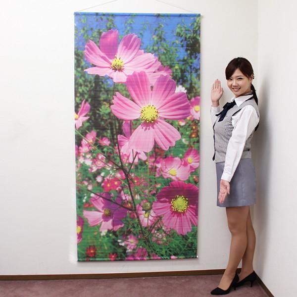タペストリー　秋　新コスモス　180cm×90cm / 飾り 装飾 ディスプレイ 販促グッズ ポスタ...