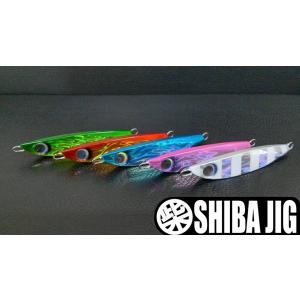釣り竿 極技 カワハギ メタルソリッド Fuji製 TOP SIC + ステンレス
