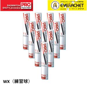 【練習用】バドミントン シャトル120個セット（10筒） バドミントン シャトル 練習用 10ダース 120球 （初心者 中学生