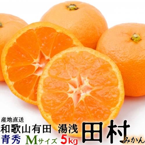 「高級 田村みかん」５ｋｇ・青秀・Mサイズ 紀州和歌山有田 旬の和歌山有田たむらみかん／有田みかん／...