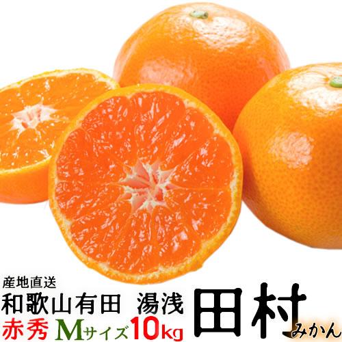 「高級 田村みかん」１０ｋｇ・赤秀・Mサイズ  紀州和歌山有田　旬の和歌山有田たむらみかん／有田みか...