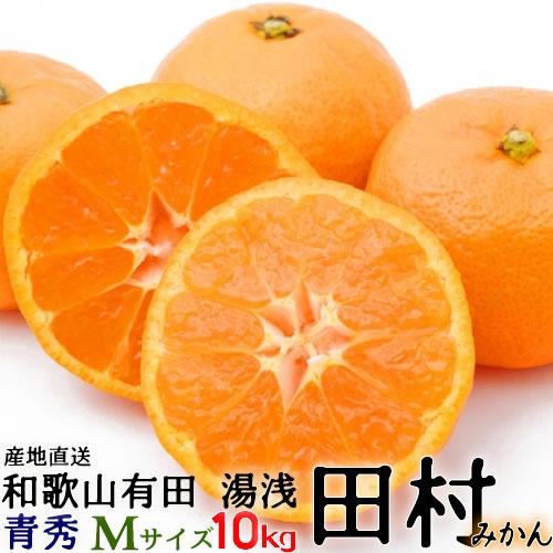 「高級 田村みかん」１０ｋｇ・青秀・Mサイズ  紀州和歌山有田　旬の和歌山有田たむらみかん／有田みか...