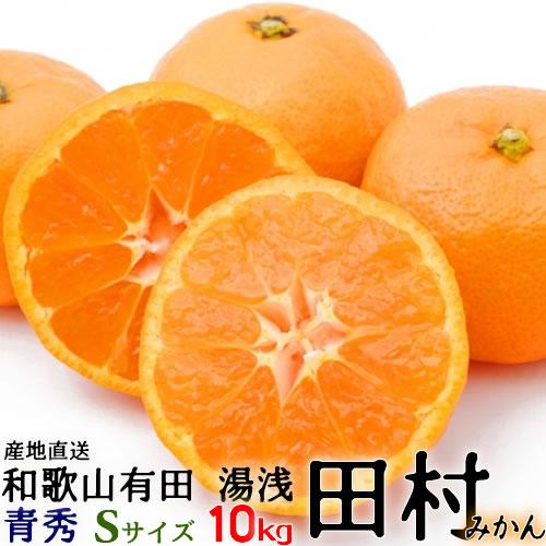 （予約）「高級 田村みかん」１０ｋｇ・青秀・Sサイズ  紀州和歌山有田　旬の和歌山有田たむらみかん／...