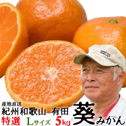 予約販売 和歌山有田の「葵みかん」５ｋｇ・特選・Lサイズ (MA-4) 酸味と甘みのバランスが絶妙　...