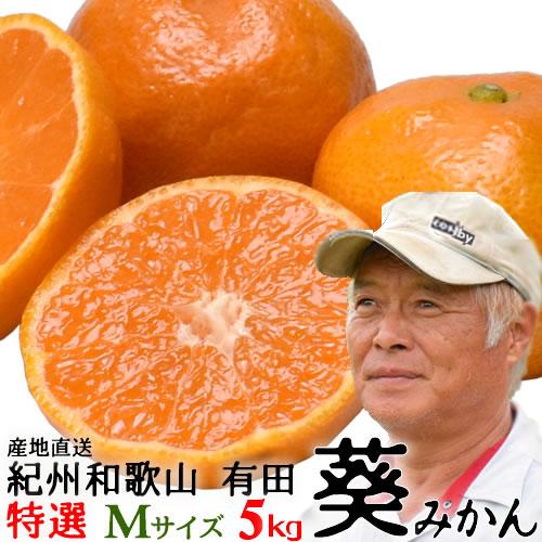 和歌山有田の「葵みかん」５ｋｇ・特選・Mサイズ (MA-5) 酸味と甘みのバランスが絶妙　送料無料（...