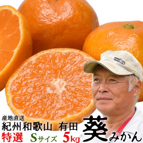和歌山有田の「葵みかん」５ｋｇ・特選・Sサイズ (MA-6) 酸味と甘みのバランスが絶妙　送料無料（...