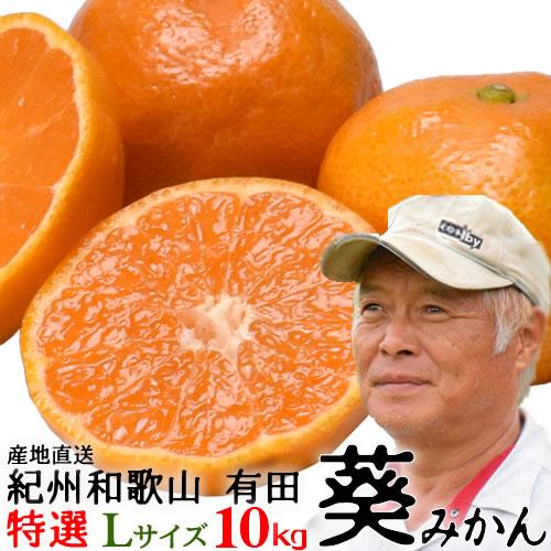 酸味と甘みのバランスが絶妙 和歌山有田の「葵みかん」１０ｋｇ・特選・Lサイズ (MA-1)　送料無料...