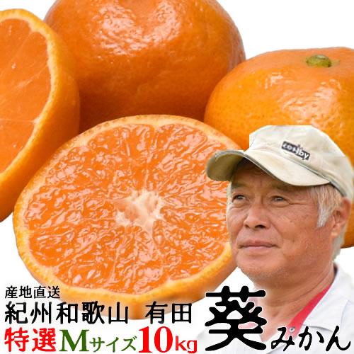 酸味と甘みのバランスが絶妙 和歌山有田の「葵みかん」１０ｋｇ・特選・Mサイズ (MA-2)送料無料（...