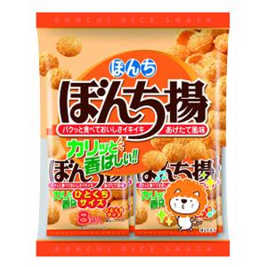 ぼんち 8パック ぼんち揚 200g×10個