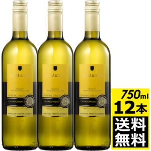 (12本ケース販売)サン・ミッシェル シャルドネ (NV) 白ワイン 辛口 750ml｜ever-shop