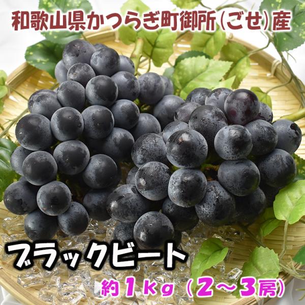 農家直送 希少品種 ブラックビート 約1kg（2〜3房） 種なし まるでブドウジュースのよう 和歌山...