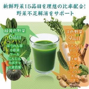 飲みごたえ野菜青汁60包3箱セットの詳細画像2