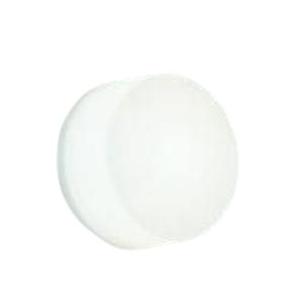 DAIKO 大光電機 LED防雨型ポーチ灯 DWP-40823W