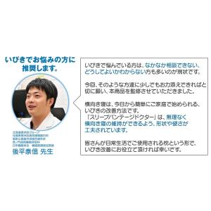 フランスベッド いびき軽減横向き寝まくら スリ...の詳細画像2