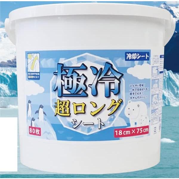 極冷超 ロングシート 厚手 18cm×75cm 80枚入×2