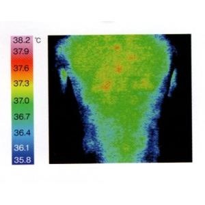夏涼しく、冬暖かい体圧分散マットレス 東洋紡ブ...の詳細画像2