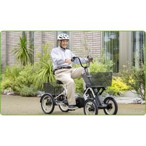 電動アシスト付4輪自転車 遊歩 リベルタ