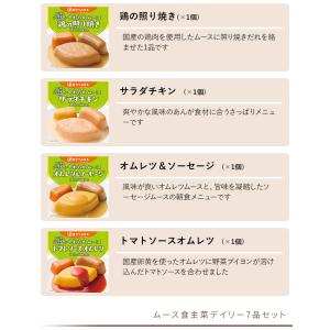 介護食 大和製罐 エバースマイル ムース食 主...の詳細画像2