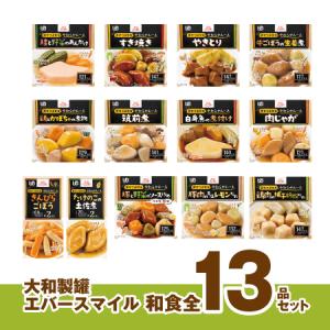 介護食 エバースマイルムース食 和・洋・中 主菜人気メニュー20品