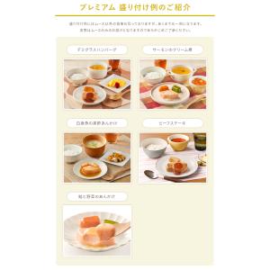介護食 大和製罐 エバースマイル ムース食 主...の詳細画像2