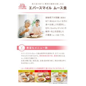 介護食 大和製罐 エバースマイル ムース食 主...の詳細画像3