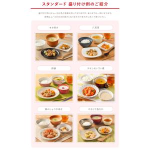 介護食 大和製罐 エバースマイル ムース食 主...の詳細画像2