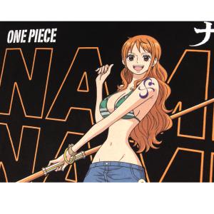 ONE PIECE Tシャツ ワンピース 半袖...の詳細画像2