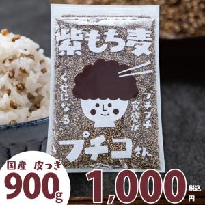 もち麦 国産 900g ダイシモチ 皮付き 紫もち麦 プチコさん 900gｘ1袋 アントシアニン 食物繊維