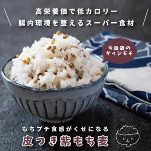 もち麦 国産 皮付き 紫もち麦 プチコさん 9...の詳細画像1