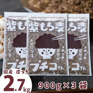もち麦 国産 皮付き 紫もち麦 プチコさん 900gｘ3袋 2.7kg からだにいいこと大賞準大賞 ダイシモチ アントシアニン 腸内環境 食物繊維