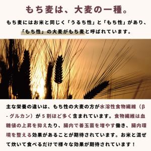 もち麦 国産 皮付き 紫もち麦 プチコさん 9...の詳細画像2