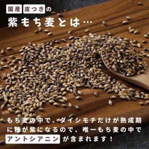 もち麦 国産 皮付き 紫もち麦 プチコさん 9...の詳細画像3