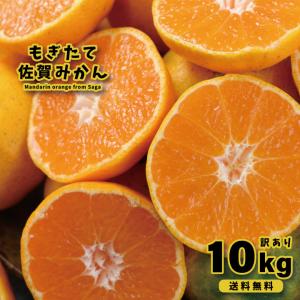 みかん 10kg 訳あり 温州みかん ｜佐賀みかん 10kg 未選別 SSサイズ〜3Lサイズ混合 家庭用 ｜4〜5個（300〜400g）保証付き