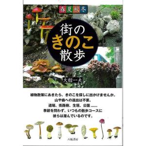 春夏秋冬　街のきのこ散歩