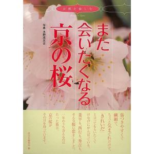 また会いたくなる京の桜｜everydaybooks