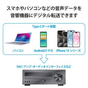エレコム USB ケーブル オーディオ用 変換...の詳細画像2