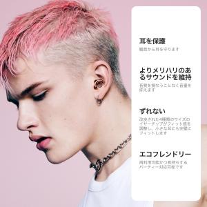 Loop Experience 2 耳栓 ? ...の詳細画像1