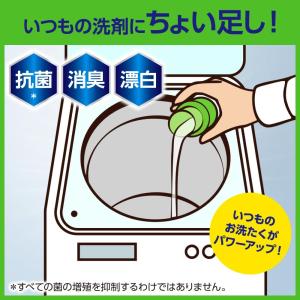 ワイドハイター 【大容量】EXパワー 衣料用漂...の詳細画像3