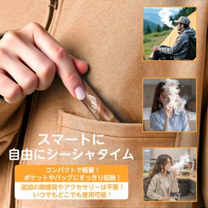 電子タバコ 使い捨て ベイプ 10風味セット ...の詳細画像5