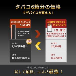 【15秒予熱|30本連続使用|2度吸い対応】S...の詳細画像3