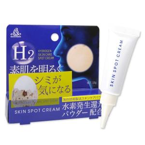 ブレーンコスモス SKIN SPOT CREAM スキン スポット クリーム 10g
